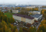 Российская гибкая черепица